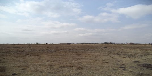 Kiserian, Oloitokoshi