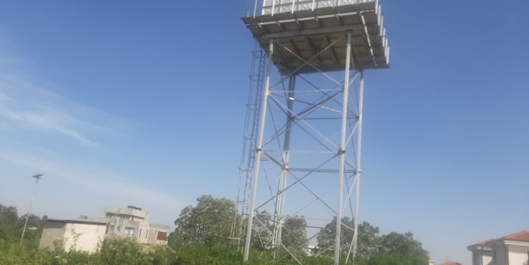 Zaaria 6